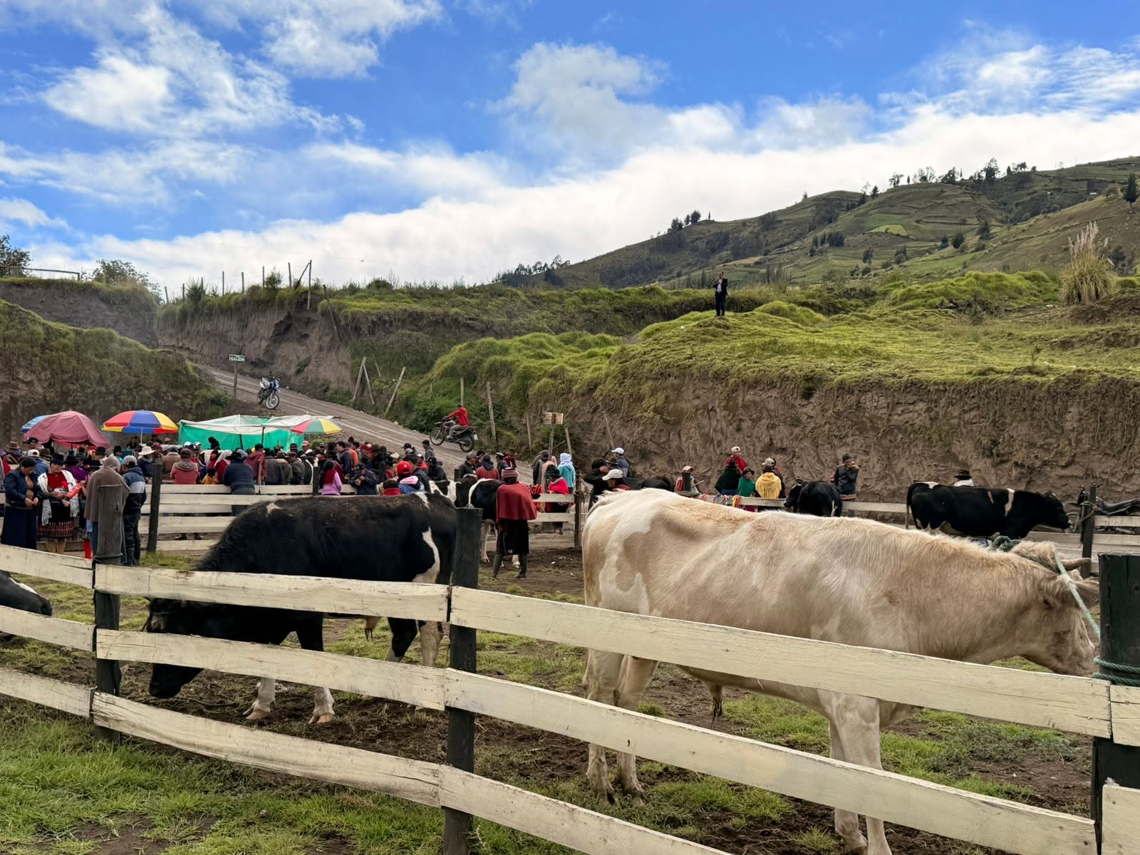 LA FERIA CONTINÚA EN CEBADAS!